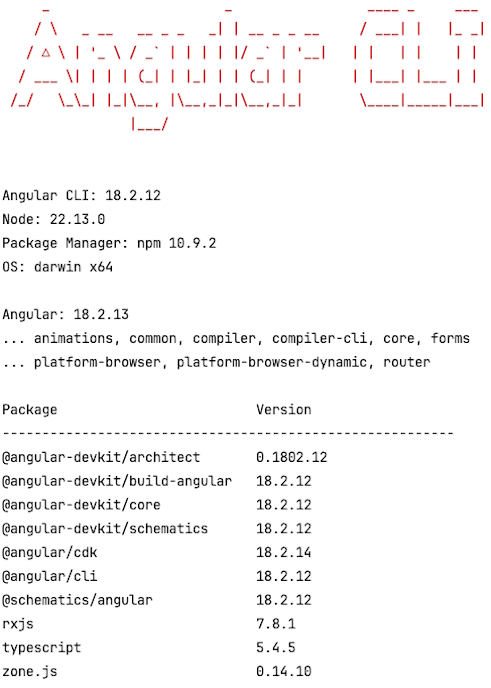 angular setup